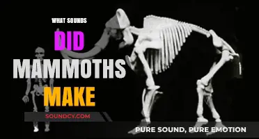 Unveiling the Lost Roars: What Sounds Did Mammoths Make?
