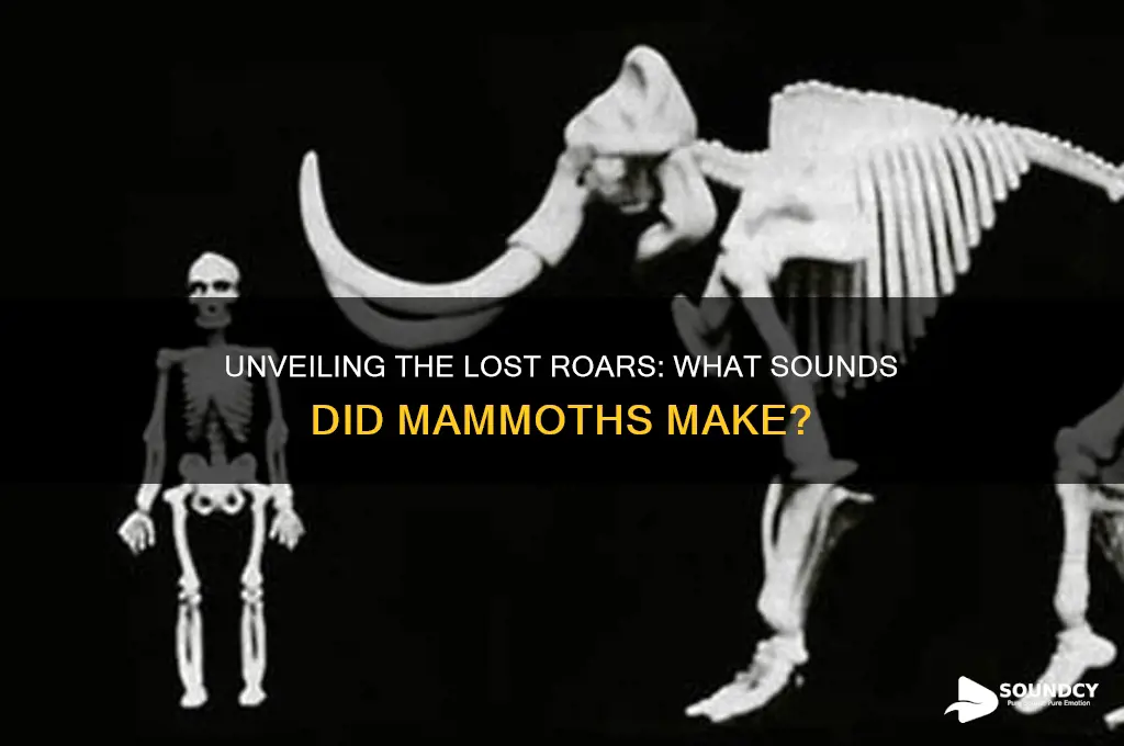 what sounds did mammoths make