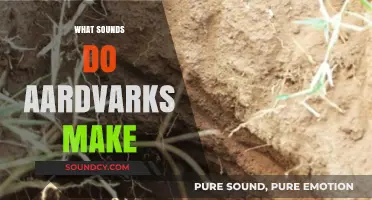 Unveiling the Unique Sounds of Aardvarks: A Comprehensive Guide