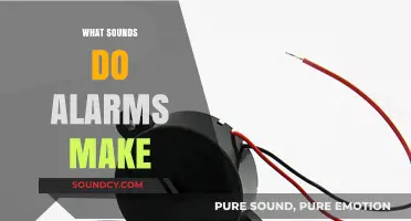 Exploring the Distinct Sounds Alarms Make and Their Meanings