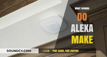 Exploring Alexa's Sounds: Understanding Its Alerts, Responses, and Notifications
