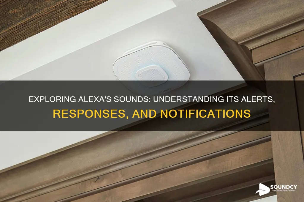 what sounds do alexa make