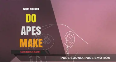 Unveiling the Vocal World: Exploring the Sounds Apes Make in the Wild