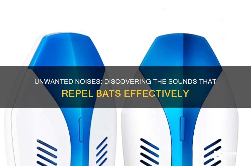 what sounds do bats hate