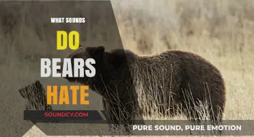 Unbearable Noises: Sounds That Drive Bears Away and Keep You Safe