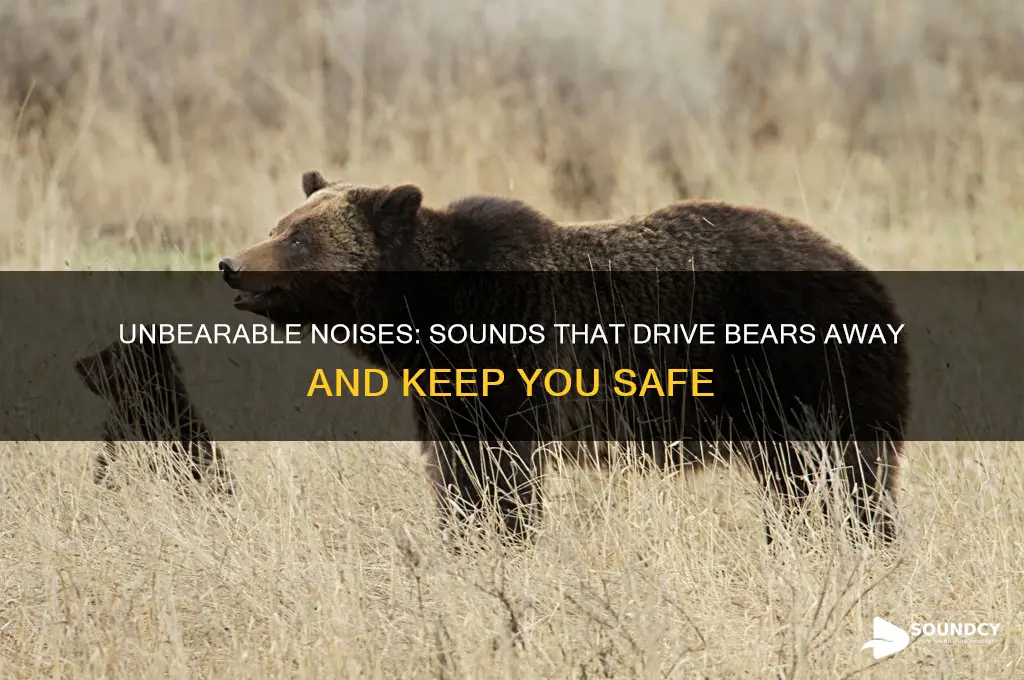 what sounds do bears hate