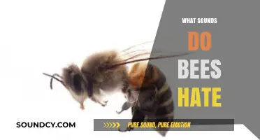 Buzz Off: Uncovering the Sounds That Irritate and Repel Bees