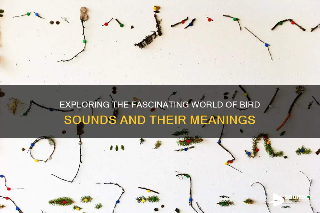 what sounds do birds make