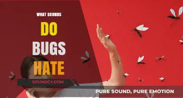 Unwanted Guests? Discover the Sounds That Repel Bugs Instantly!