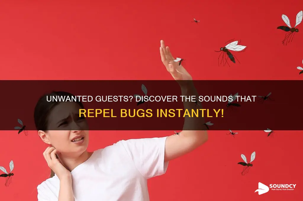 what sounds do bugs hate