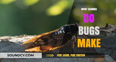 Unveiling the Noisy World: Exploring the Unique Sounds Bugs Create