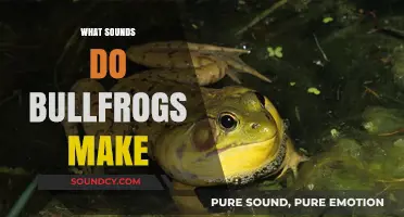 Unveiling the Unique Croaks and Calls of Bullfrogs in Nature