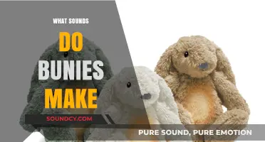 Unveiling the Adorable Sounds: What Noises Do Bunnies Make?