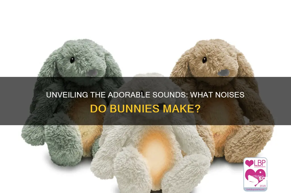 what sounds do bunies make