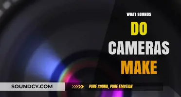 Exploring the Unique Sounds Cameras Make: From Shutters to Clicks