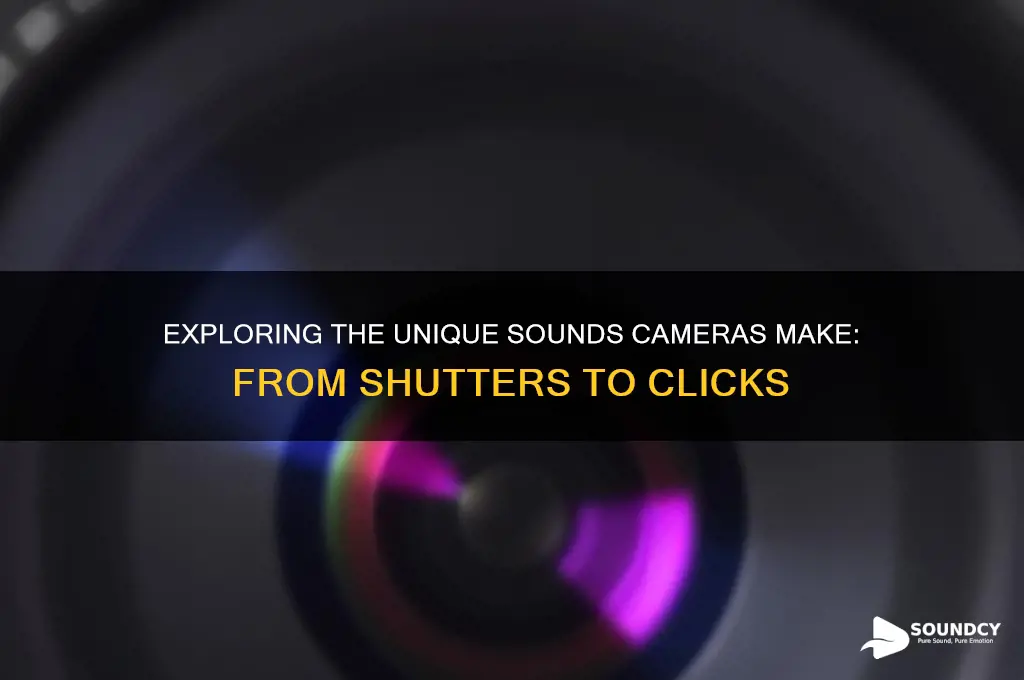 what sounds do cameras make