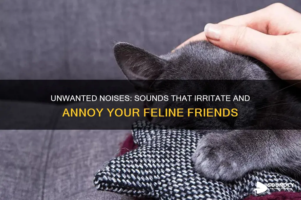 what sounds do cats dislike