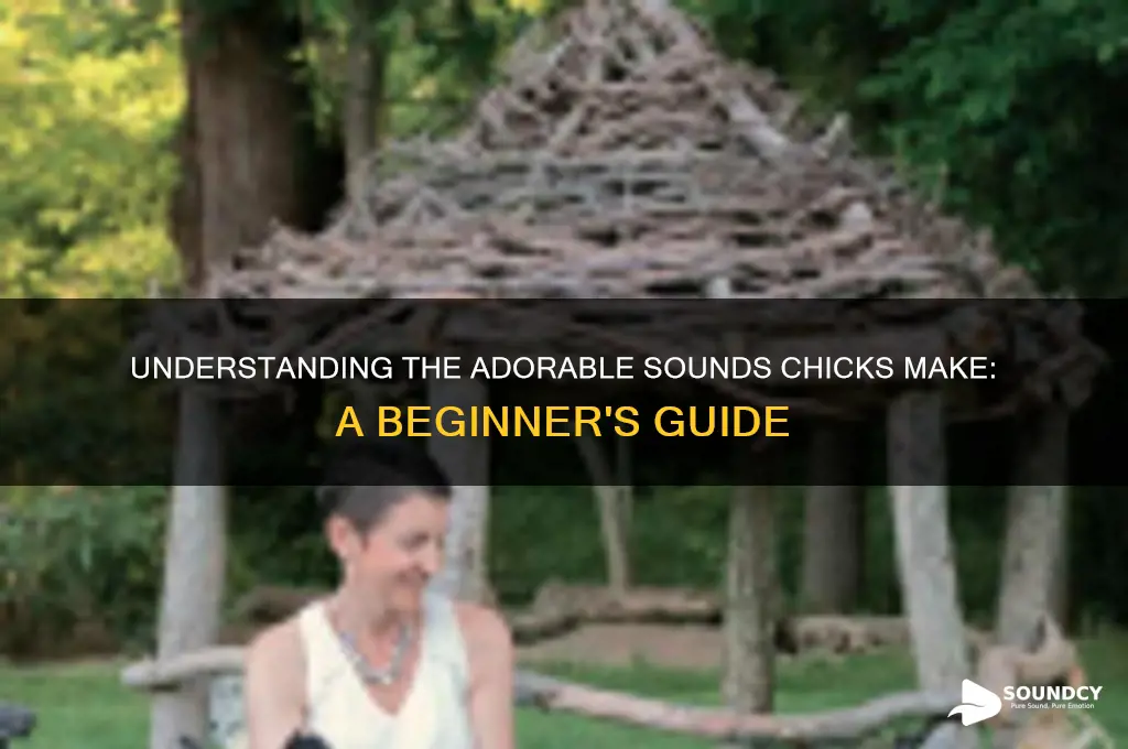 what sounds do chicks make
