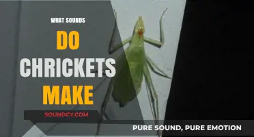 Unraveling the Unique Sounds of Crickets: A Comprehensive Guide