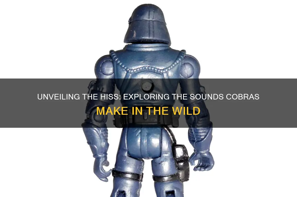what sounds do cobras make