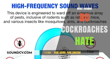 Repel Cockroaches: Discover the Sounds They Despise and Avoid