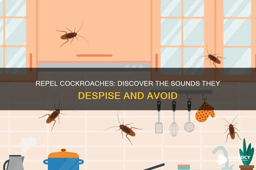 what sounds do cockroaches hate