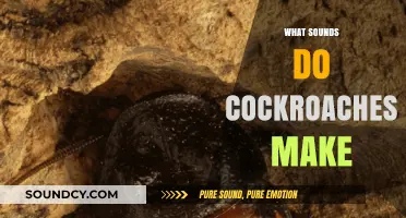 Unveiling the Noises: What Sounds Do Cockroaches Make?