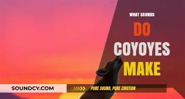Unveiling the Mysterious Howls and Yips: What Sounds Do Coyotes Make?