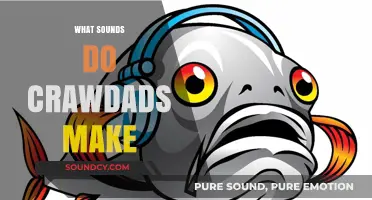 Unveiling the Secret Sounds of Crawdads: What Do They Really Make?