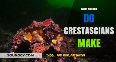 Unveiling the Unique Sounds of Crestacians: A Comprehensive Guide