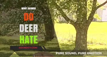 Unwanted Noises: Sounds That Scare Deer Away Effectively