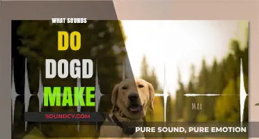 Decoding Dog Sounds: Understanding Barks, Whines, and Growls