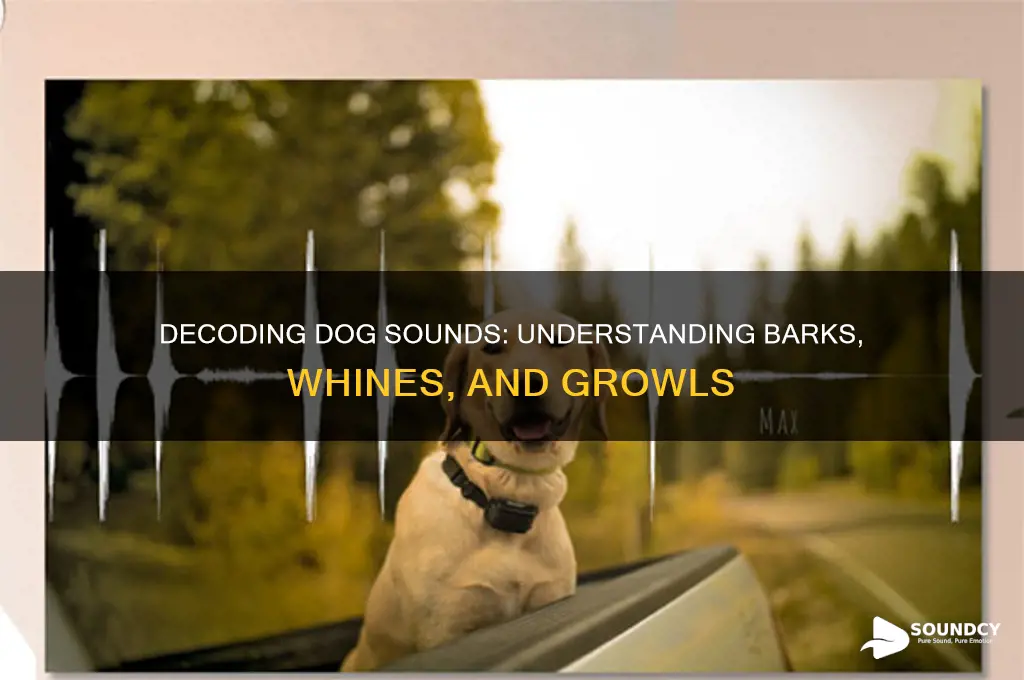 what sounds do dogd make