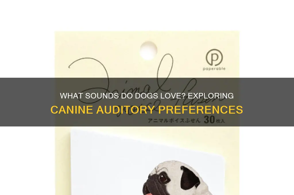 what sounds do dogs love