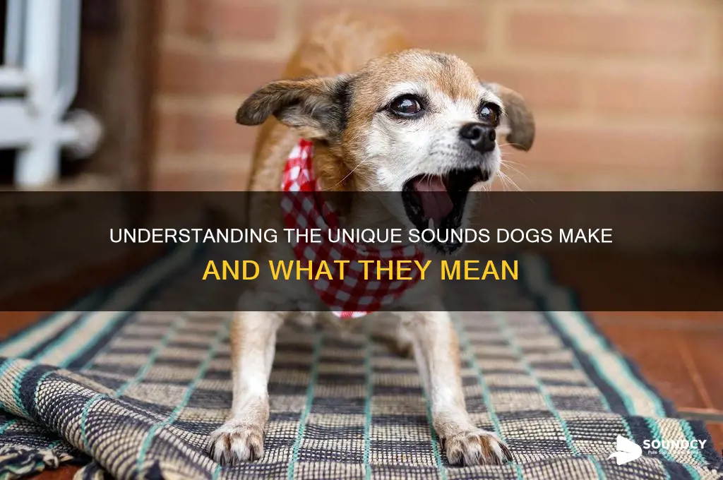 what sounds do dogs make
