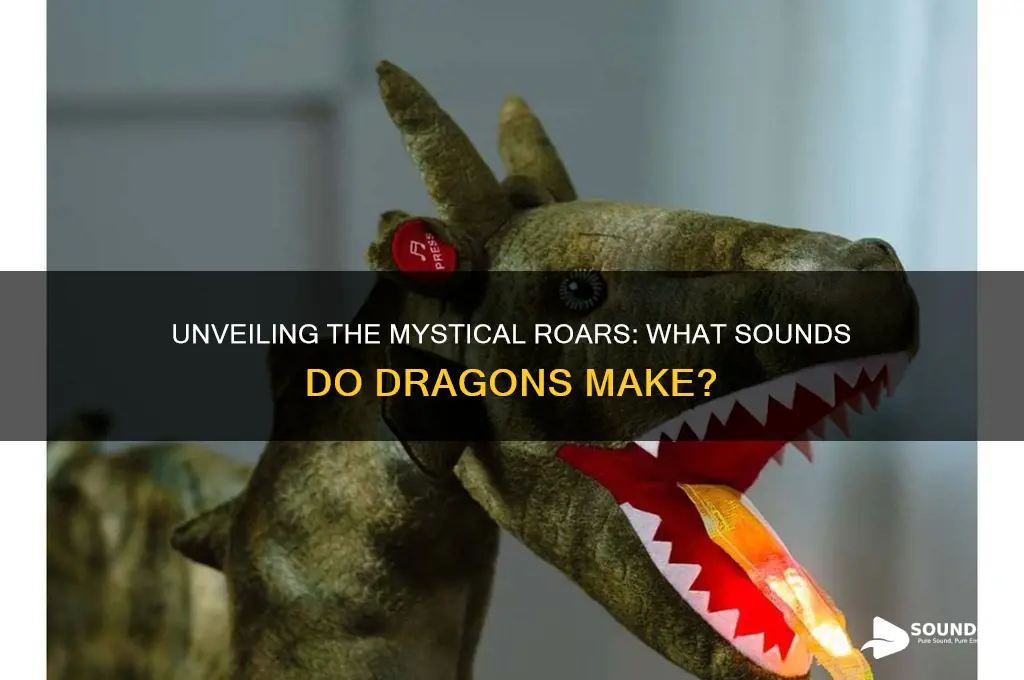what sounds do dragosn make