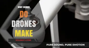 Exploring the Unique Buzzing and Whirring Sounds Drones Produce