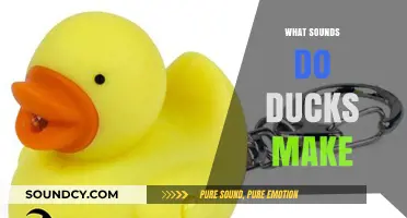 Quacking Up: Exploring the Unique Sounds Ducks Make and Why