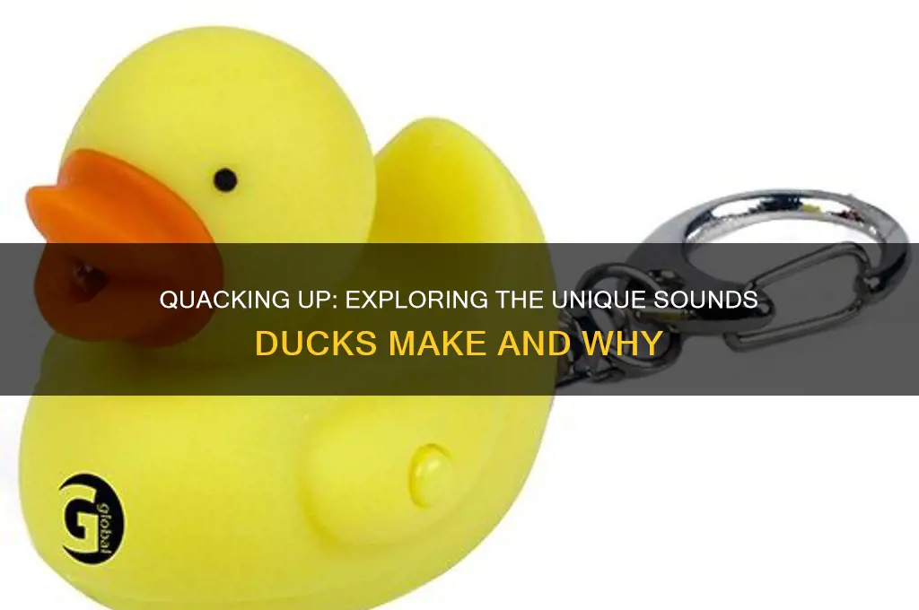 what sounds do ducks make