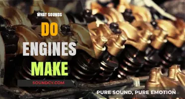 Exploring the Unique Sounds and Noises Made by Different Engines