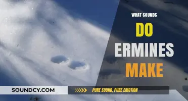 Unveiling the Mysterious Vocalizations of Ermines: What Sounds Do They Make?