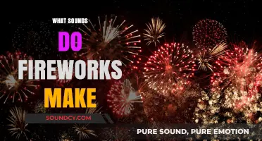 Explosive Echoes: Decoding the Vibrant Sounds of Fireworks Displays