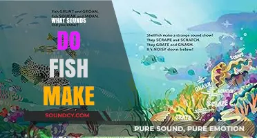Unveiling the Underwater Symphony: Exploring the Sounds Fish Create