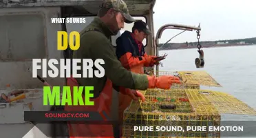 Unveiling the Mysterious Vocalizations of Fishers in the Wild