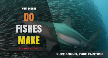 Unveiling the Underwater Symphony: Exploring the Sounds Fishes Create