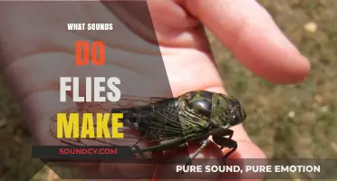 Buzzing Mysteries: Unveiling the Unique Sounds of Flies Explained