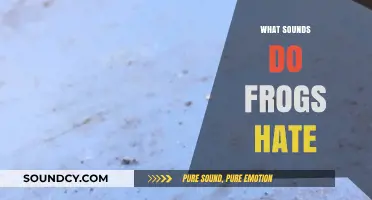 Unwanted Noises: Discovering the Sounds That Drive Frogs Away