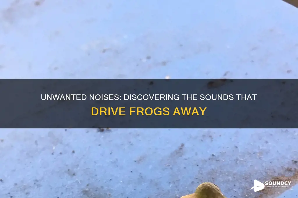 what sounds do frogs hate