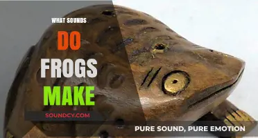 Exploring the Unique Ribbits and Croaks: What Sounds Do Frogs Make?