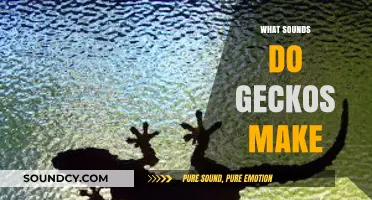 Unveiling the Unique Vocalizations: What Sounds Do Geckos Make?